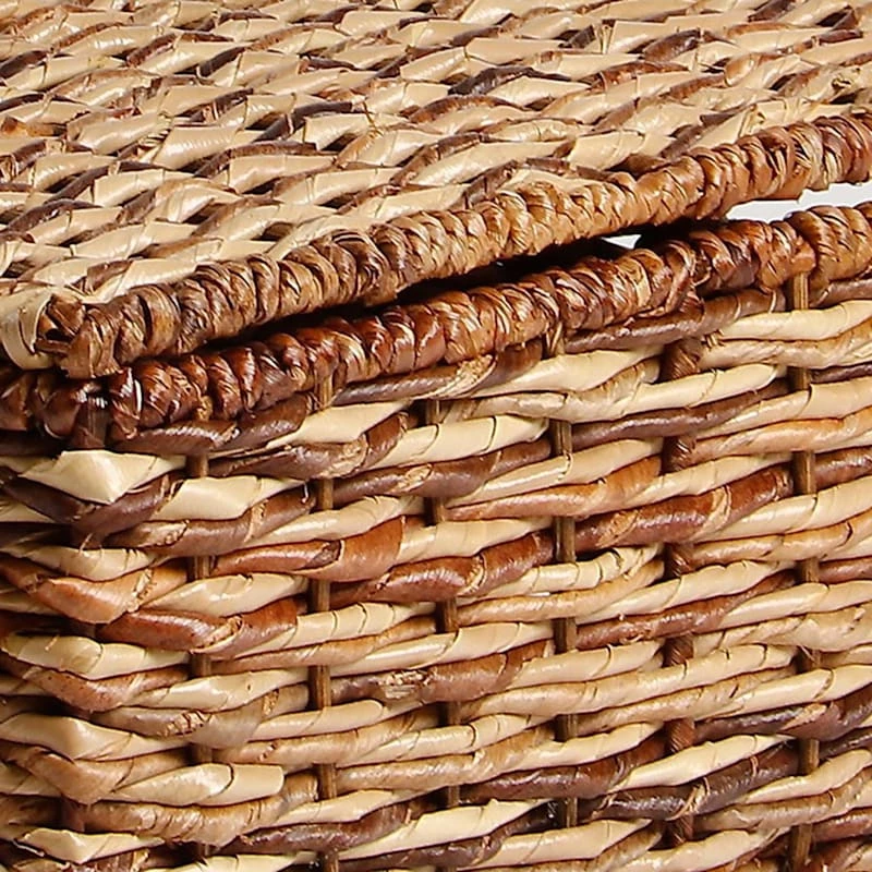 Bacburi Woven Abaca Storage Basket With Lid, Small 2 Bacburi Woven Abaca Storage Basket With Lid, Small - Image 2