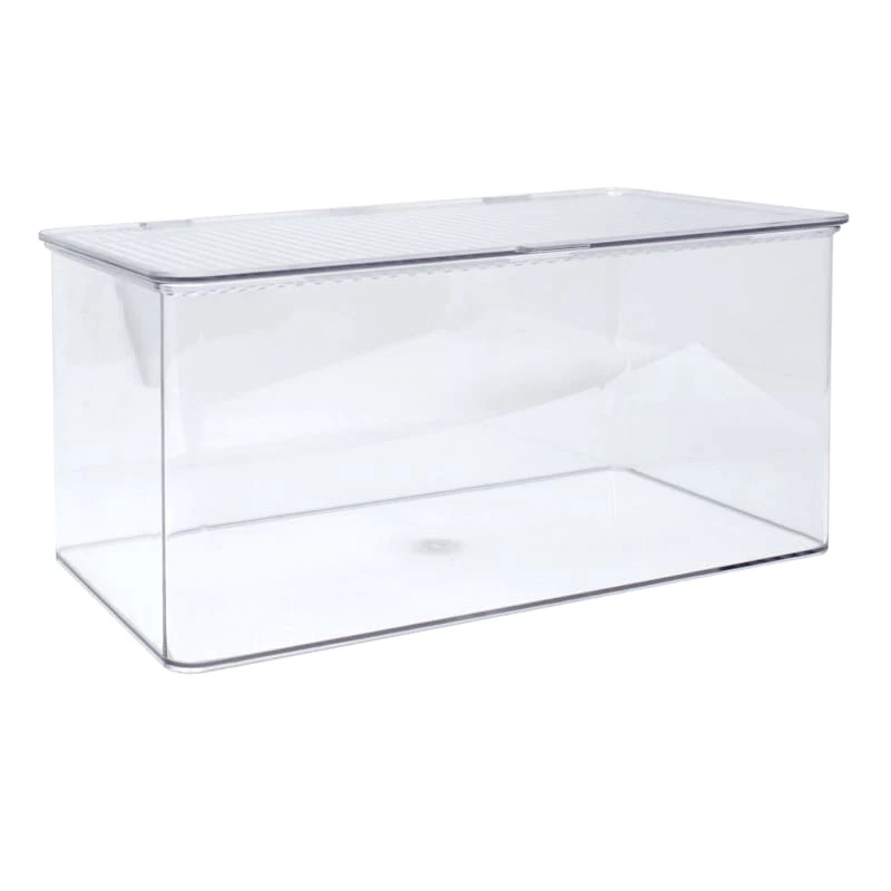 Clear Hinged Storage Bin, Medium 1 Clear Hinged Storage Bin, Medium