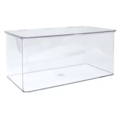 Clear Hinged Storage Organizer, Large