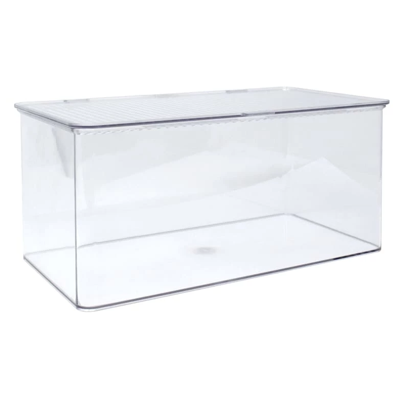 Clear Hinged Storage Organizer, Large 1 Clear Hinged Storage Organizer, Large