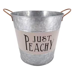 Ovl Galv Jst Peachy L