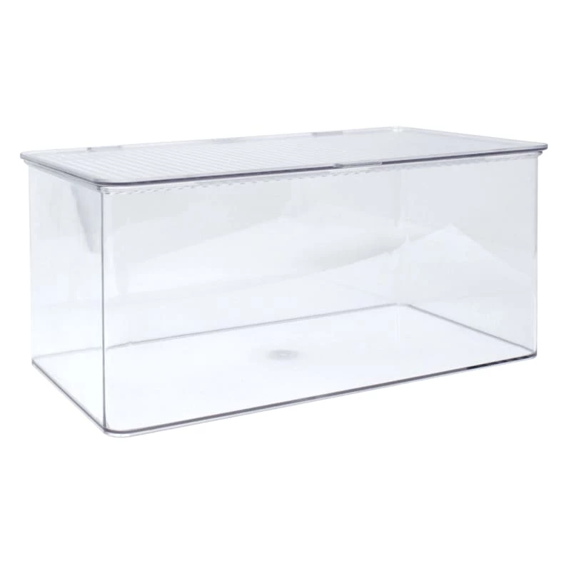 Small Clear Hinged Storage Bin Set, 10.25x7.25 1 Small Clear Hinged Storage Bin Set, 10.25x7.25